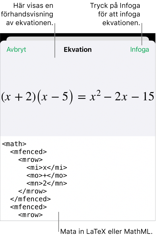 Dialogrutan Ekvation visar en ekvation som skrivits med MathML-kommandon och en förhandsvisning av formeln ovanför den.