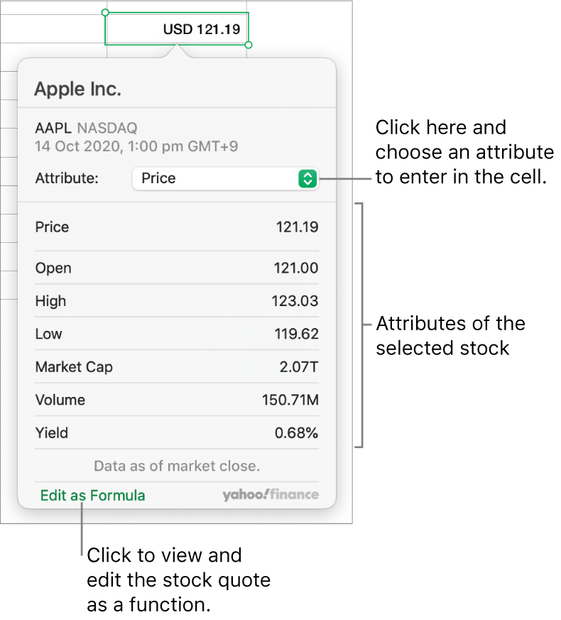 The dialogue for entering stock attribute information, with Apple as the selected stock.