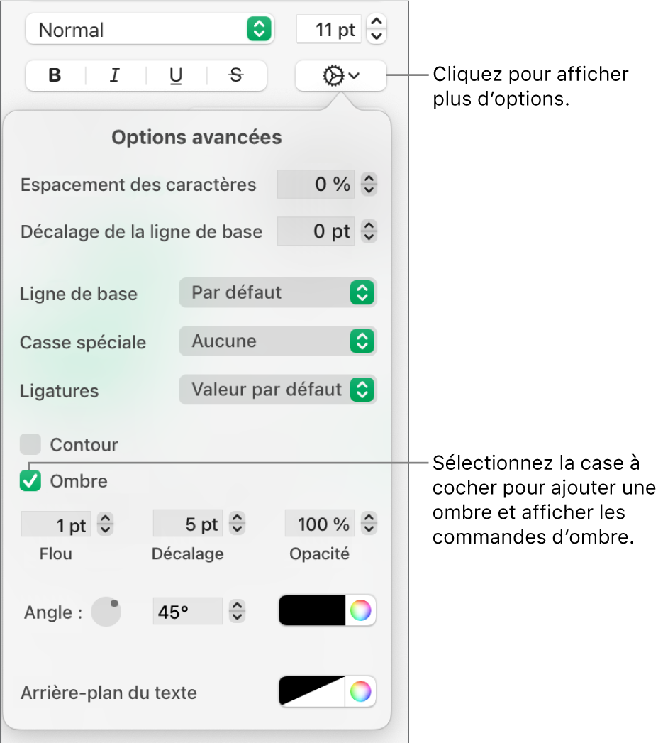 Le menu « Plus d’options de texte » s’ouvre avec la case Ombres sélectionnée et les commandes pour définir les réglages de flou, de décalage, d’opacité, d’angle et de couleur.