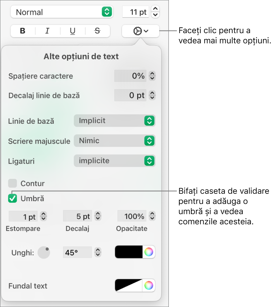 Meniul Alte opțiuni de text deschis, cu caseta de validare Umbre selectată și comenzile pentru a configura estomparea, decalajul, opacitatea, unghiul și culoarea.