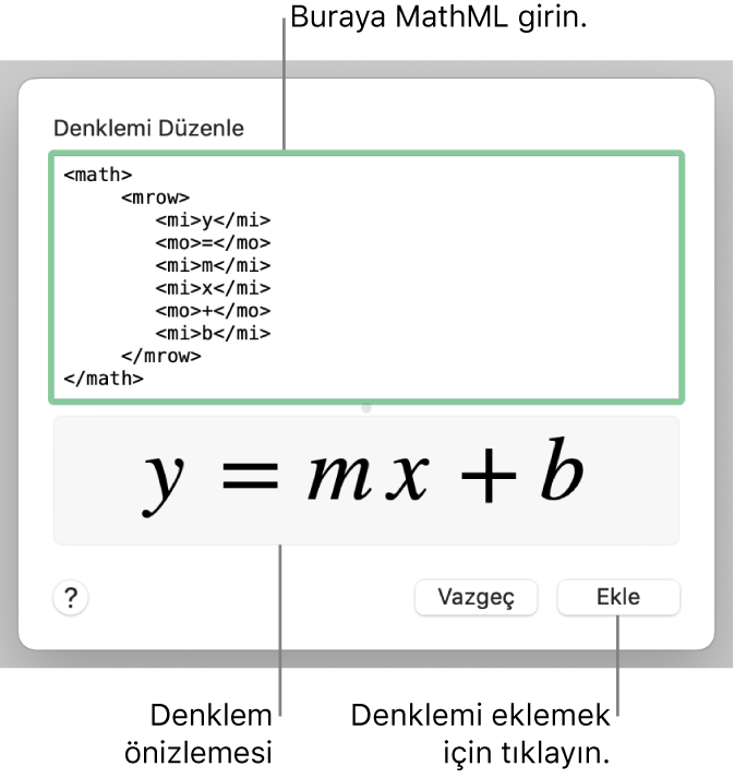 Denklemi Düzenle alanına girilmiş bir çizgi eğimi denklemi ve altta formülün önizlemesi.