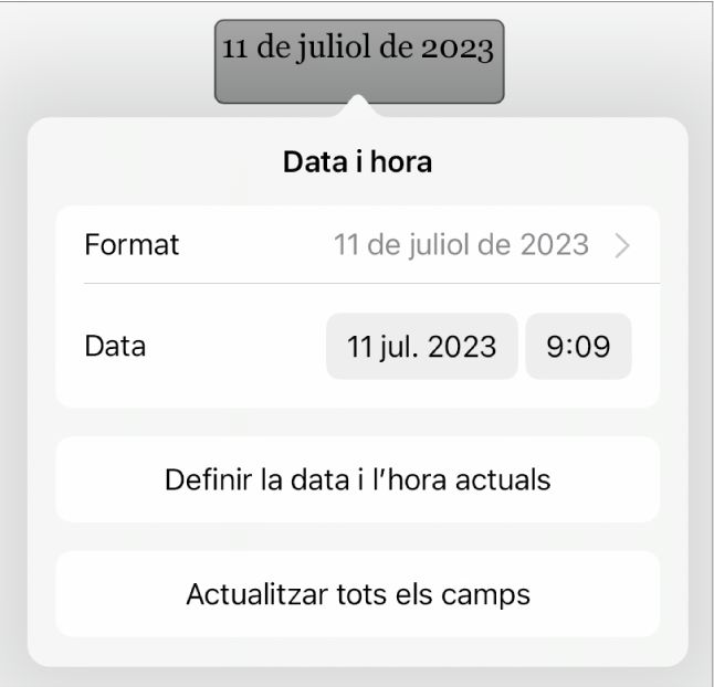 Els controls “Data i hora” amb un menú desplegable per al format de la data i els botons “Data i hora”.