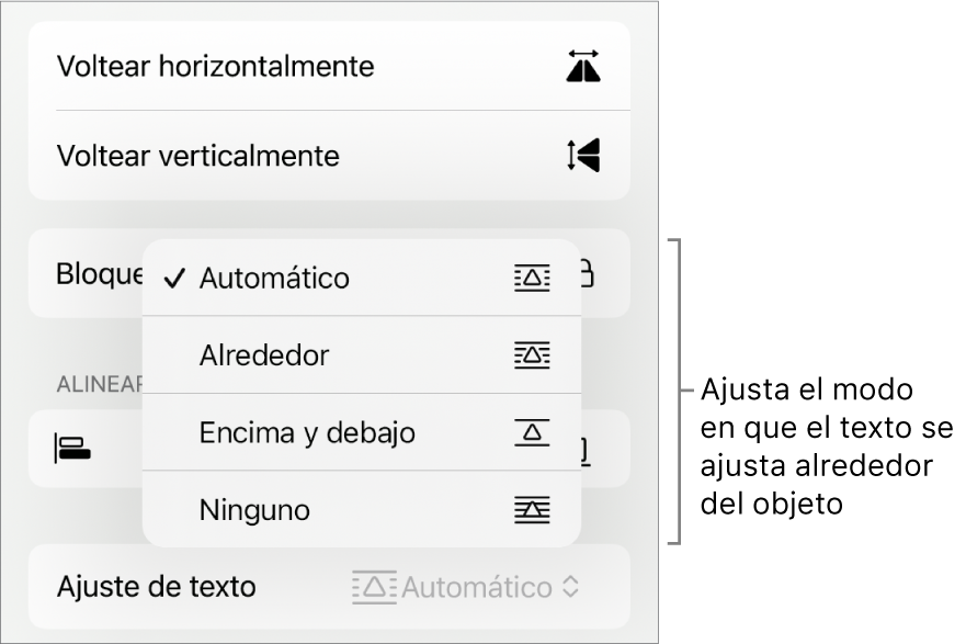 Los controles de formato con la pestaña Orden seleccionada. Debajo están los controles Ajuste de texto con las opciones Mover al fondo/al frente, Mover con texto y Ajuste de texto.