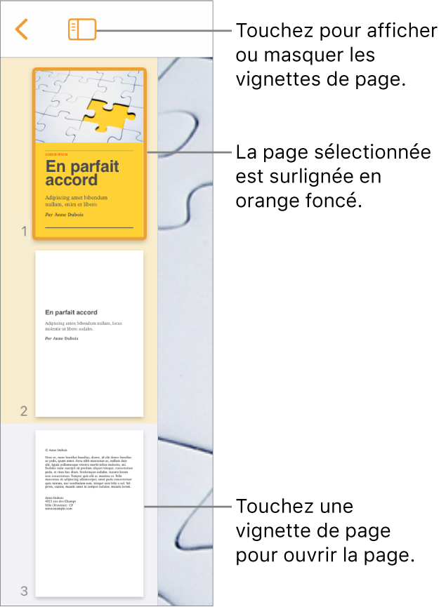 Présentation en vignettes de page dans la partie gauche de l’écran avec une section à deux pages, une ligne de séparation et une page de la section suivante. Le bouton Présentation est au-dessus des vignettes.