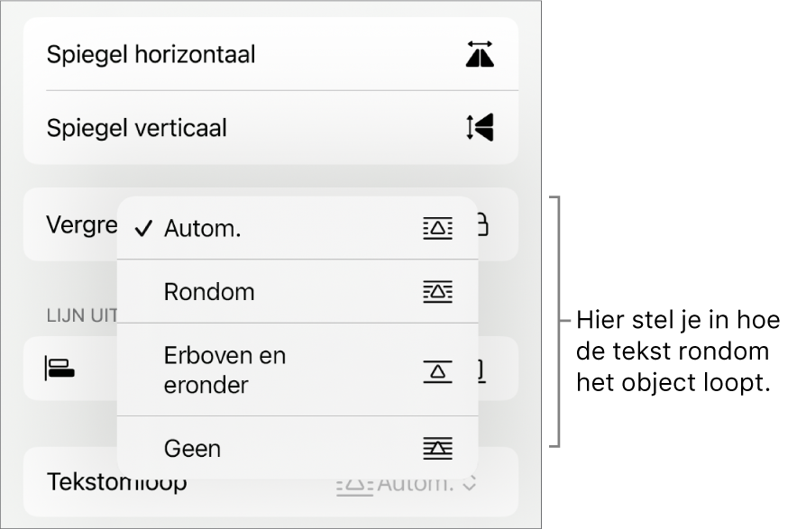 Het tabblad 'Orden' in het paneel met opmaakregelaars. In het tabblad staan regelaars voor tekstomloop met 'Naar achteren/Naar voren', 'Mee met tekst' en 'Tekstomloop'.