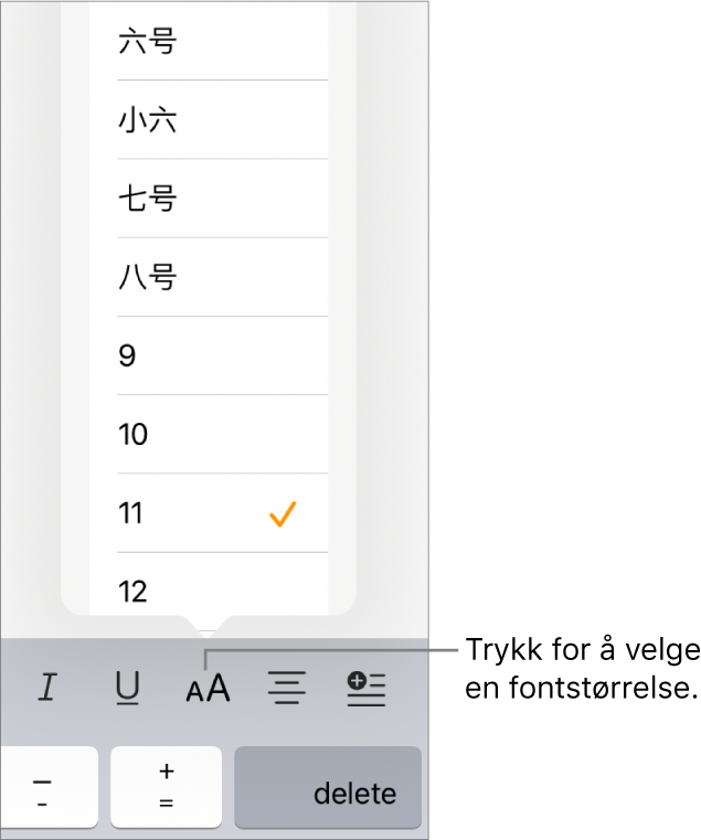 Fontstørrelse-knappen på høyre side av iPad-tastaturet, med Fontstørrelse-menyen åpen. Fontstørrelsene som kinesiske myndigheter har satt som standard, vises øverst i lokalmenyen med punktstørrelser nedenfor.