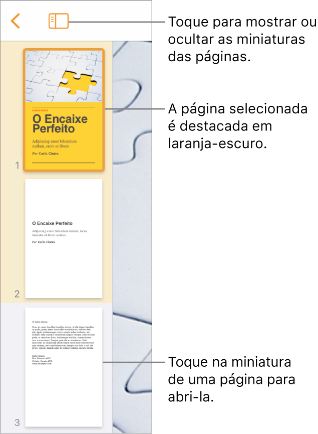 Visualização de Miniaturas de Página na parte esquerda da tela com uma página selecionada. O botão Opções de Visualização aparece acima das miniaturas.