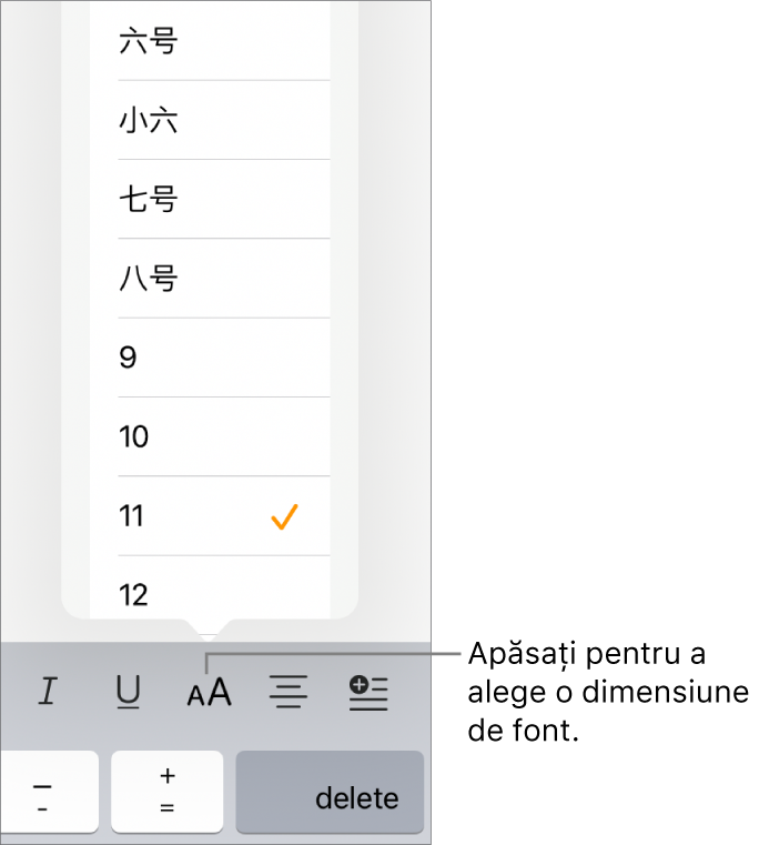 Butonul Dimensiune font aflat în partea dreaptă a tastaturii iPad, având deschis meniul de dimensiune a fontului. Dimensiunile de font standard ale guvernului Chinei continentale apar în partea de sus a meniului, având în partea de jos dimensiunile pentru punct.