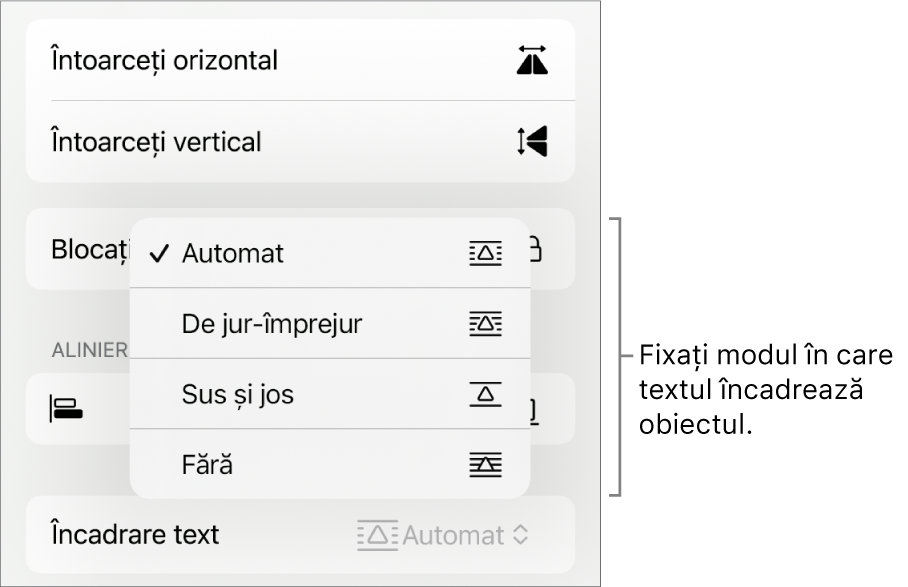 Comenzile Format cu fila Aranjare selectată. Sub aceasta se află comenzile Încadrare text cu Mută în spate/față, Se mută cu textul și Încadrare text.