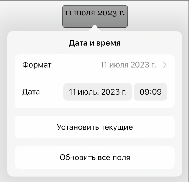Элементы управления для параметра «Дата и время». Показано всплывающее меню форматирования даты; также показаны кнопки «Установить текущие» и «Обновить все поля».