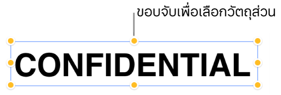 วัตถุที่มีขอบจับเพื่อเลือก