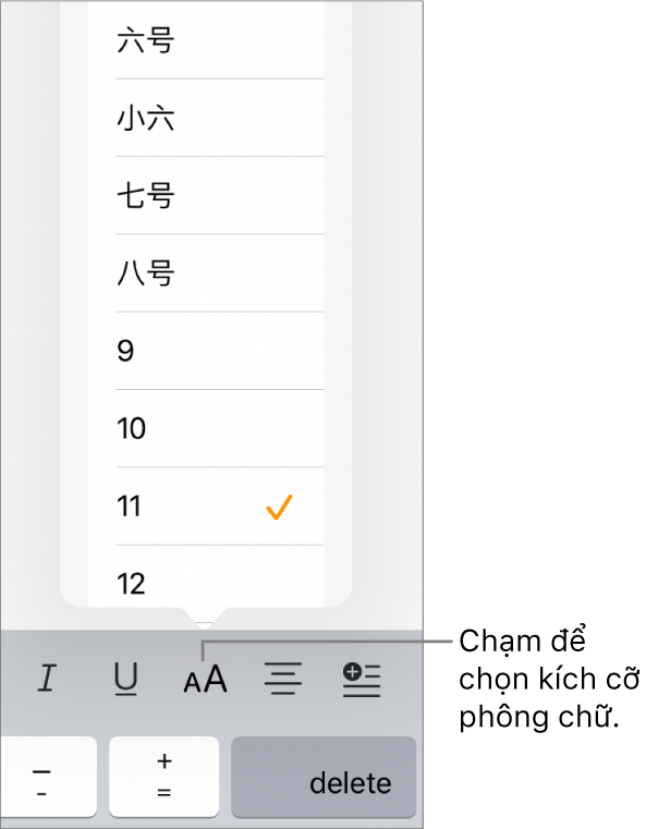 Nút Cỡ chữ nằm ở bên phải của bàn phím iPad với menu Cỡ chữ được mở. Các cỡ chữ tiêu chuẩn của chính phủ Trung Quốc đại lục xuất hiện ở đầu menu, cùng với các kích cỡ tính theo điểm ở bên dưới.