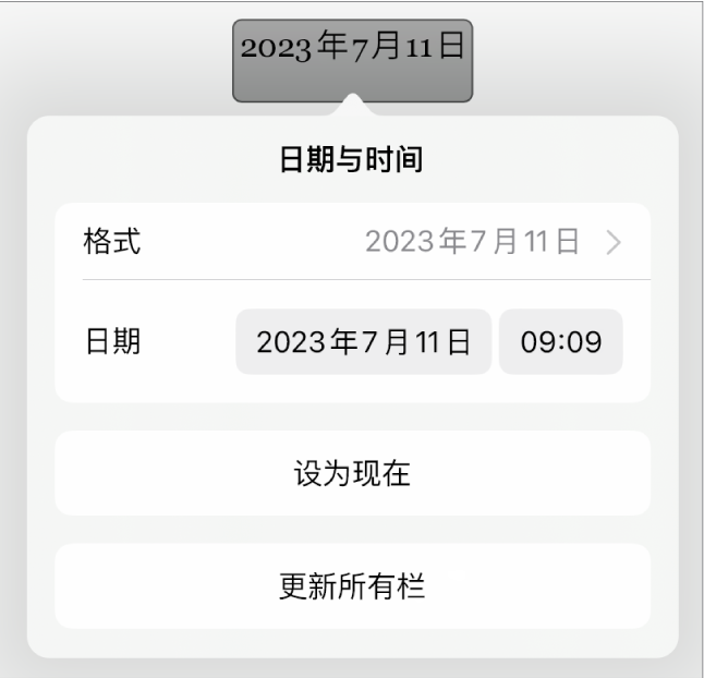 “日期与时间”控制，显示了日期“格式”的弹出式菜单和“设为现在”与“更新所有栏”按钮。