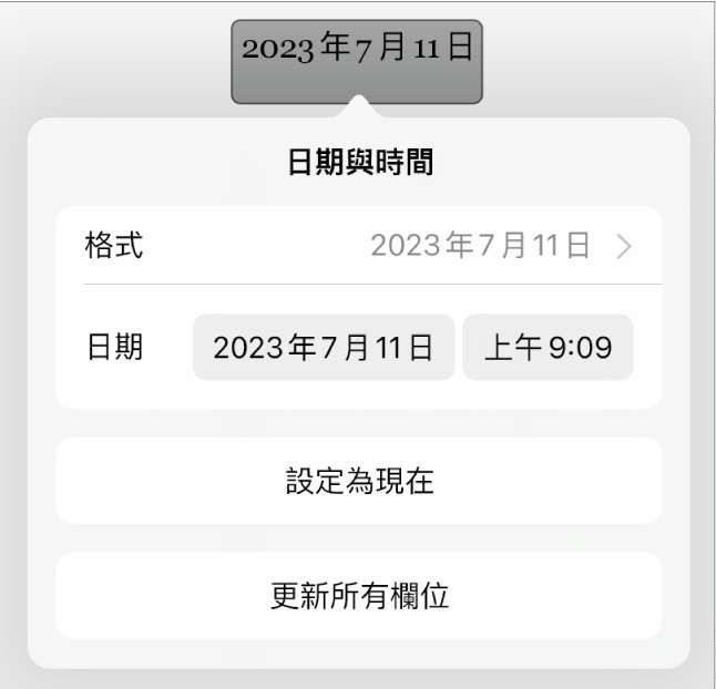 「日期與時間」控制項目，顯示日期的「格式」彈出式選單、「設定為現在」和「更新所有欄位」按鈕。