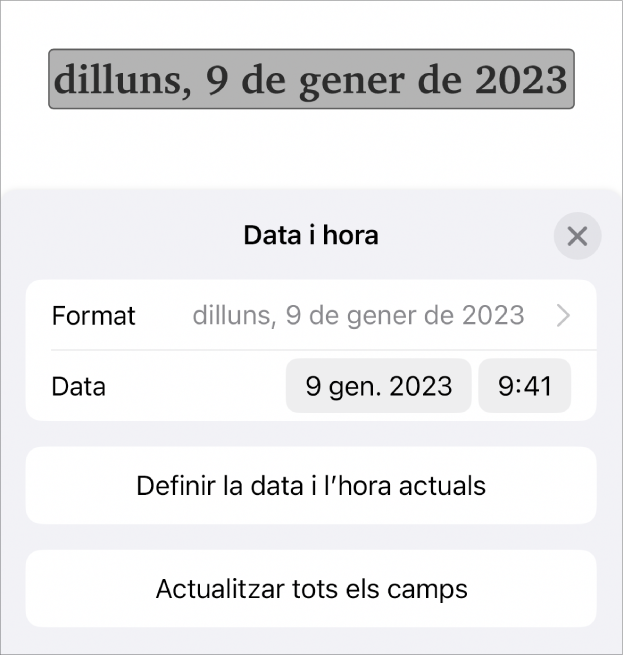 Els controls “Data i hora”, en què es mostra un menú desplegable per al format de la data i el botó “Definir la data i hora actuals”.