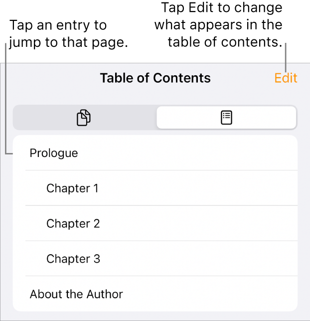 The table of contents view with headings in a list. An Edit button is in the top-right corner and, at the bottom, are the Page, Thumbnail and Table of Contents buttons.