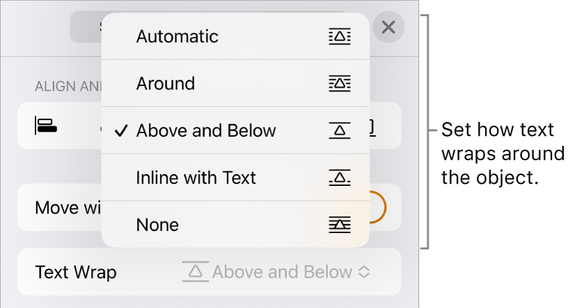 The Text Wrap controls with settings for Automatic, Around, Above and Below, Inline with Text and None.