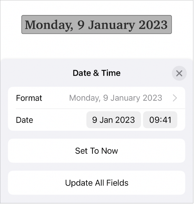 The Date & Time controls showing a pop-up menu for date Format, and Set to Now and Update All Fields buttons.