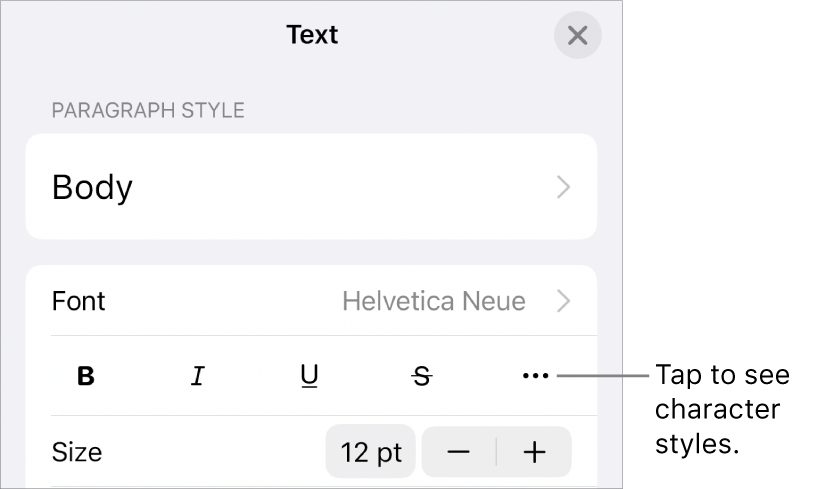 The Format controls with Bold, Italic, Underline, Strikethrough and More Text Options buttons.