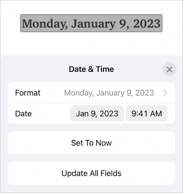 The Date & Time controls showing a pop-up menu for date Format, and Set to Now button and Update All Fields buttons.