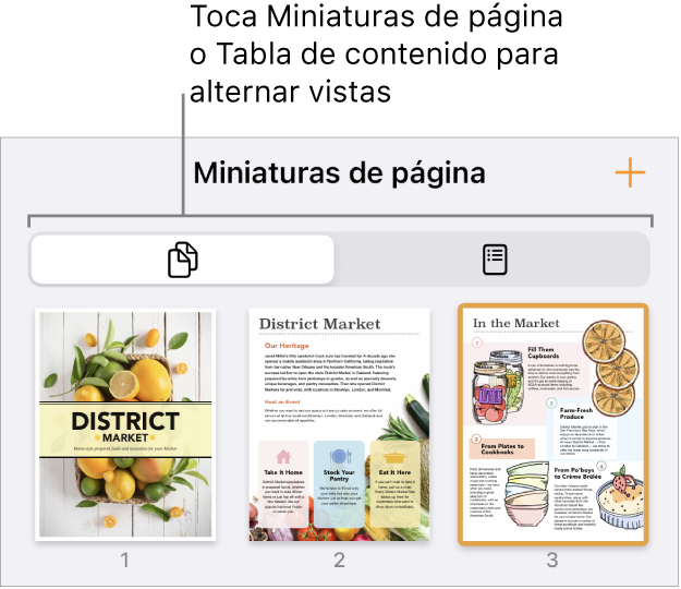 Visualización de miniaturas de página con imágenes en miniatura de cada página. Los botones Miniaturas de página y Tabla de contenido están en la parte inferior de la pantalla.