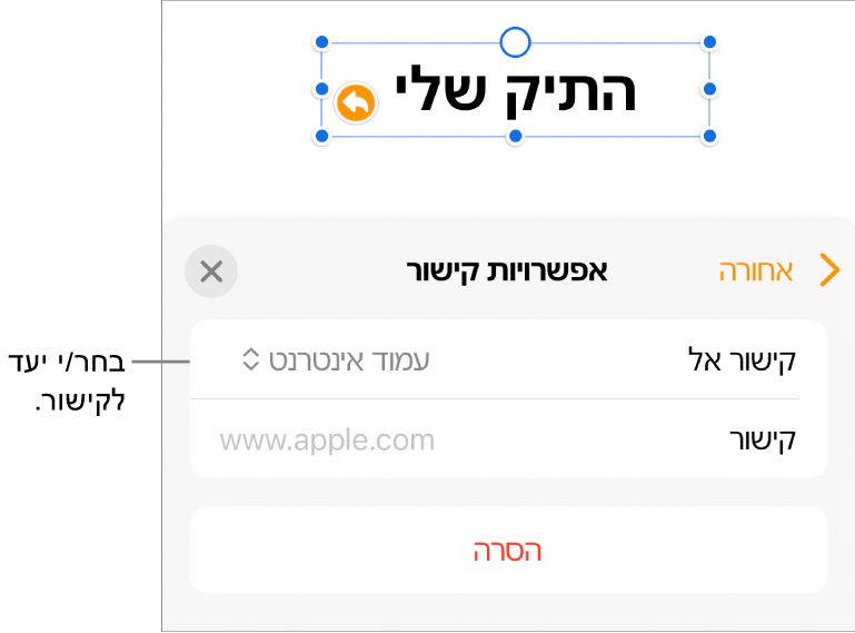 כלי הבקרה של ״אפשרויות קישור״ כאשר האפשרות ״עמוד אינטרנט״ נבחרת ובחלק התחתון מוצג הכפתור ״הסר״.