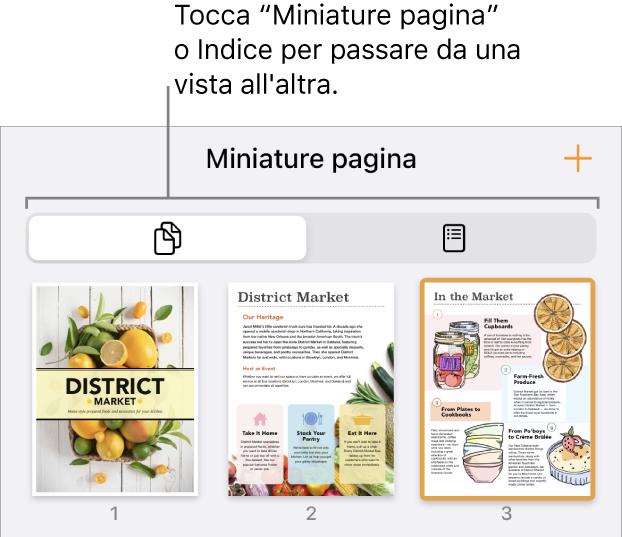 Vista “Miniature pagina” con miniature per ciascuna pagina. I pulsanti “Miniature pagina” e Indice si trovano nella parte inferiore dello schermo.