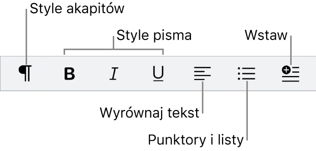 Pasek szybkiego formatu pokazujący ikony stylów akapitu, formatowania tekstu, punktorów i list, a także wstawiania elementów.