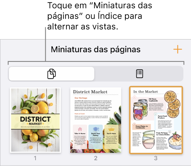A vista de miniaturas das páginas com imagens em miniatura de cada página. O botão “Miniaturas das páginas” e o botão “Índice” estão na parte inferior do ecrã.