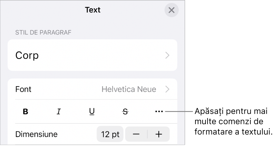 Fila Text a comenzilor Format, cu o explicație pentru butonul Alte opțiuni de text.