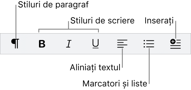 Bara de formatare rapidă prezentând pictogramele pentru stilurile de paragraf, stilurile de font, alinierea textului, marcatori și liste și inserarea elementelor.