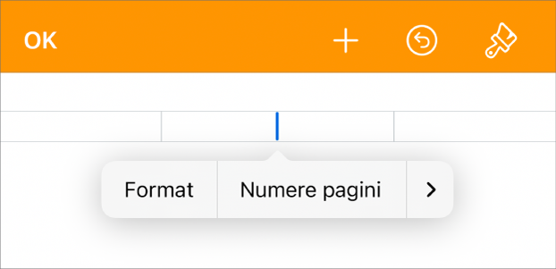 Fereastra Configurări document cu punctul de inserare într-un câmp de antet și un meniu pop-up cu două elemente de meniu: Numere pagini și Inserați.