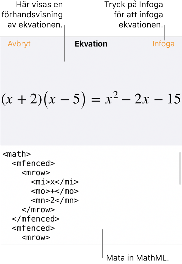 Dialogrutan Ekvation visar en ekvation som skrivits med MathML-kommandon och en förhandsvisning av formeln ovanför den.