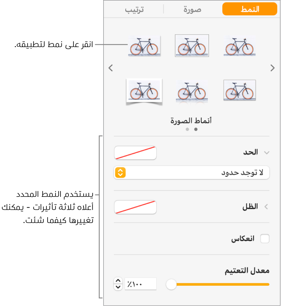 علامة التبويب نمط في الشريط الجانبي "تنسيق" ويظهر بها خيارات أنماط الكائنات.