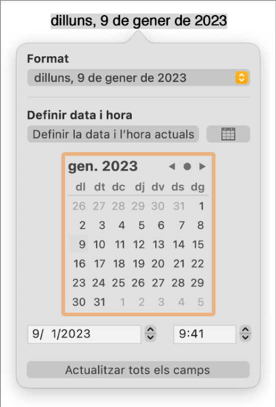 Els controls “Data i hora” amb un menú desplegable per al format i els controls “Data i hora”.