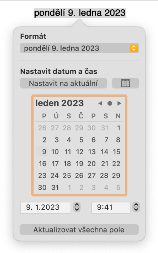 Ovládací prvky Datum a čas se zobrazenou místní nabídkou Formát a ovládacími prvky pro nastavení data a času