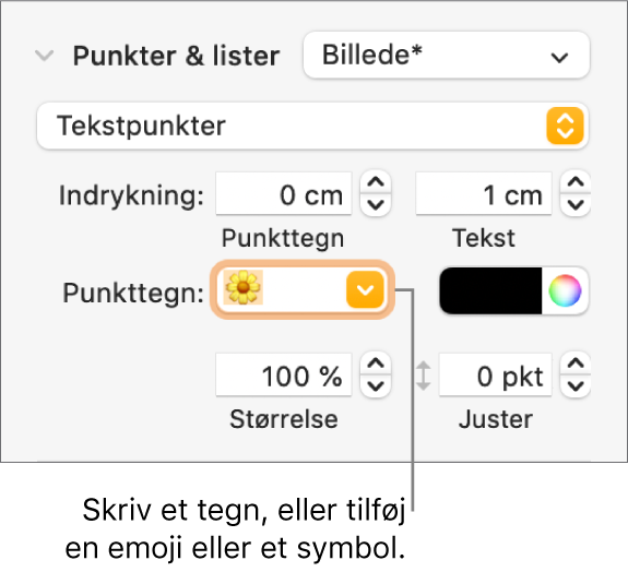 Sektionen Punkter & lister i indholdsoversigten Format. I feltet Punkttegn vises emoji-symbolet Blomst.
