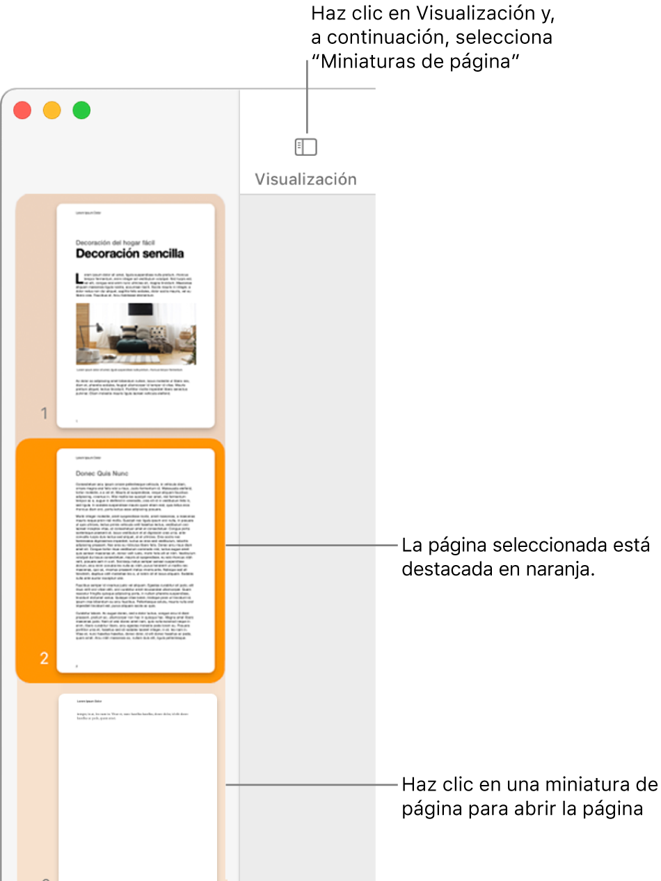 La barra lateral en el lado izquierdo de la ventana de Pages con la visualización de miniaturas de página abierta y una página seleccionada resaltada en naranja oscuro.
