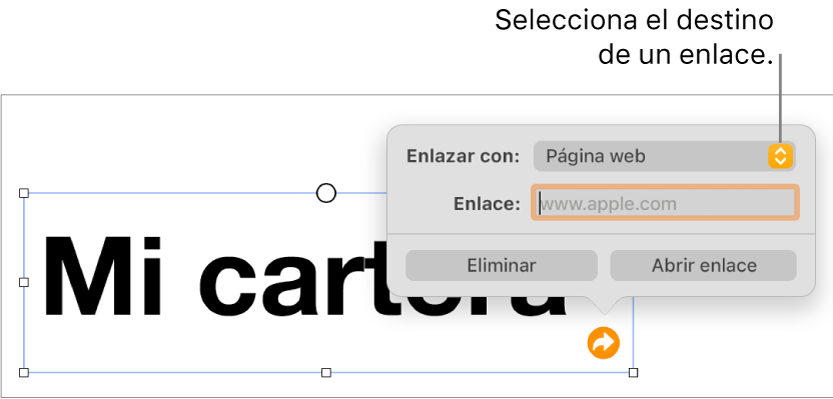 Controles del editor de enlaces con la opción “Página web” seleccionada y los botones Eliminar y “Abrir enlace” en la parte inferior.