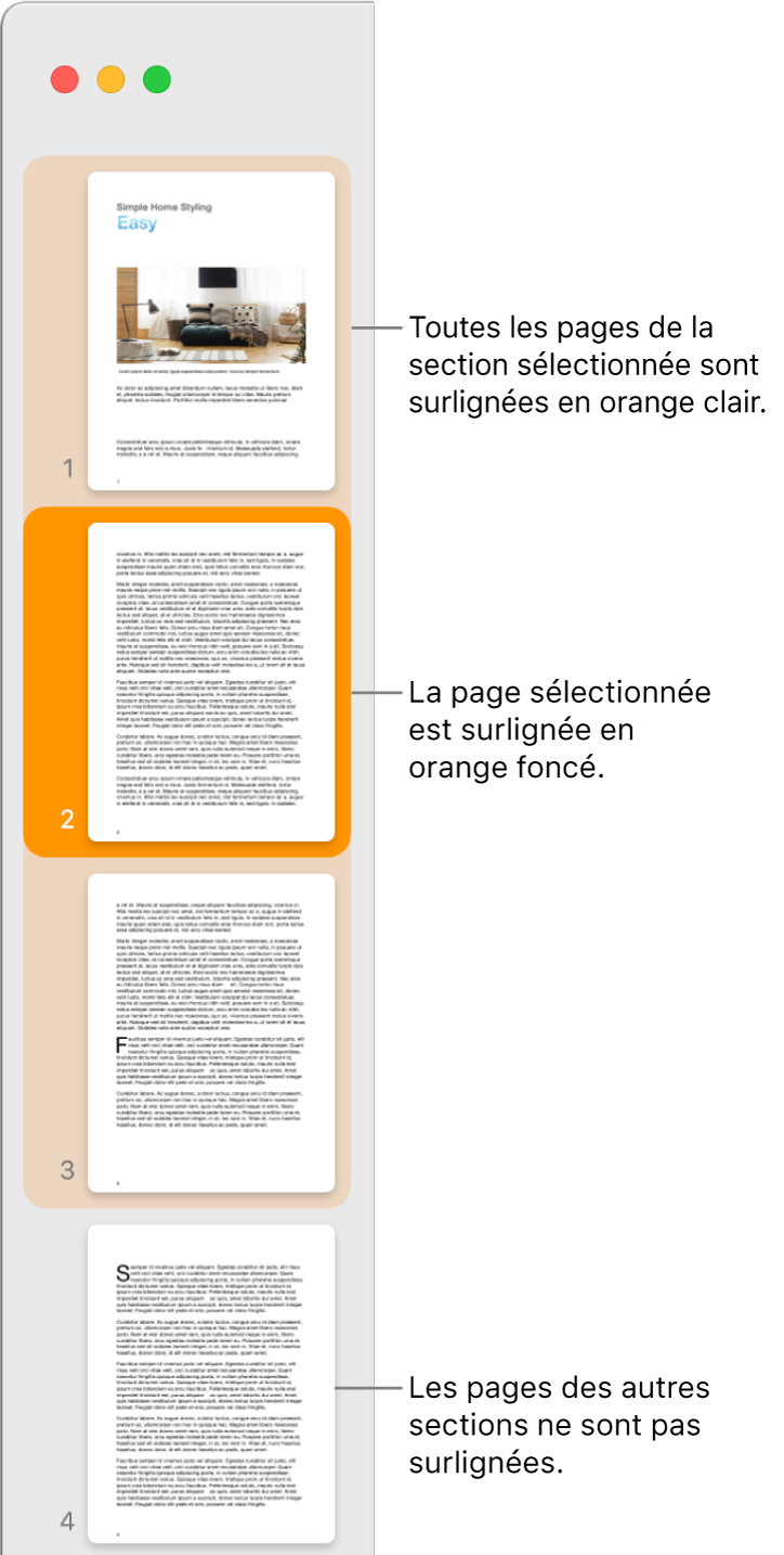La barre latérale de la présentation en vignettes avec la page sélectionnée en surbrillance orange foncé et toutes les pages de la section sélectionnée en surbrillance orange clair.
