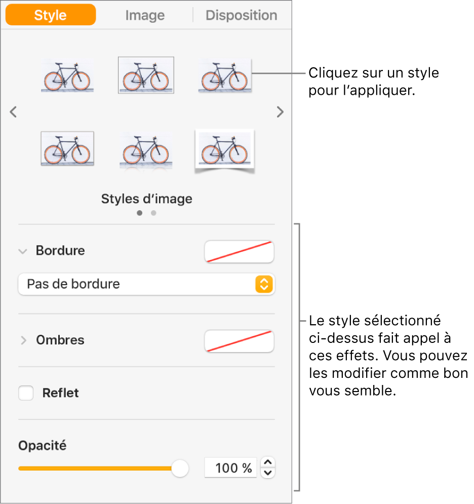 L’onglet Style de la barre latérale Format, présentant les options de style d’objet.