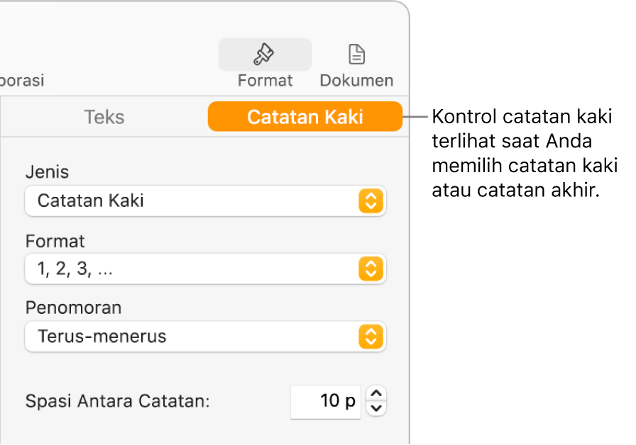 Panel Catatan Kaki menampilkan menu pop-up untuk Jenis, Format, Penomoran, dan spasi di antara catatan.