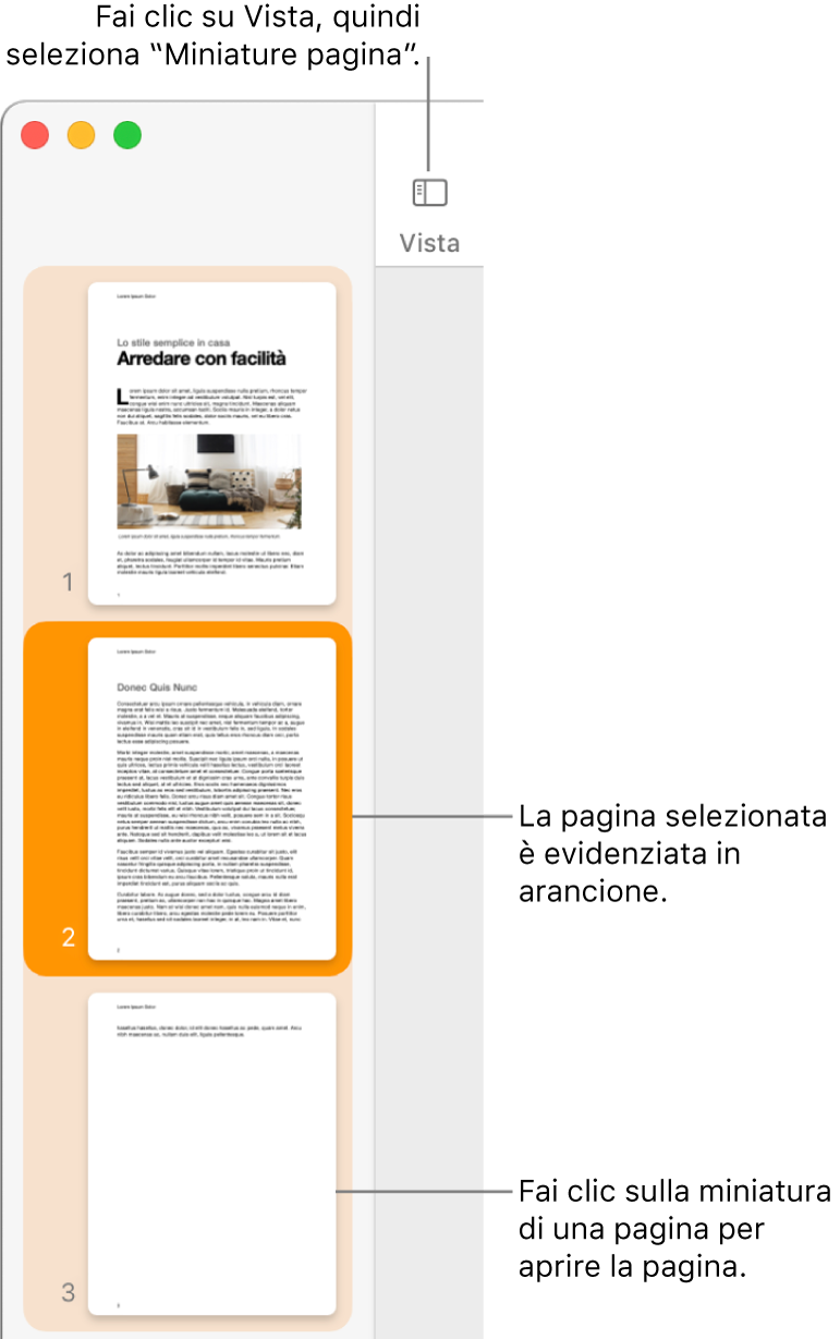 La barra laterale sul lato sinistro della finestra di Pages con la vista “Miniature pagina” aperta e una pagina selezionata evidenziata in arancione scuro.
