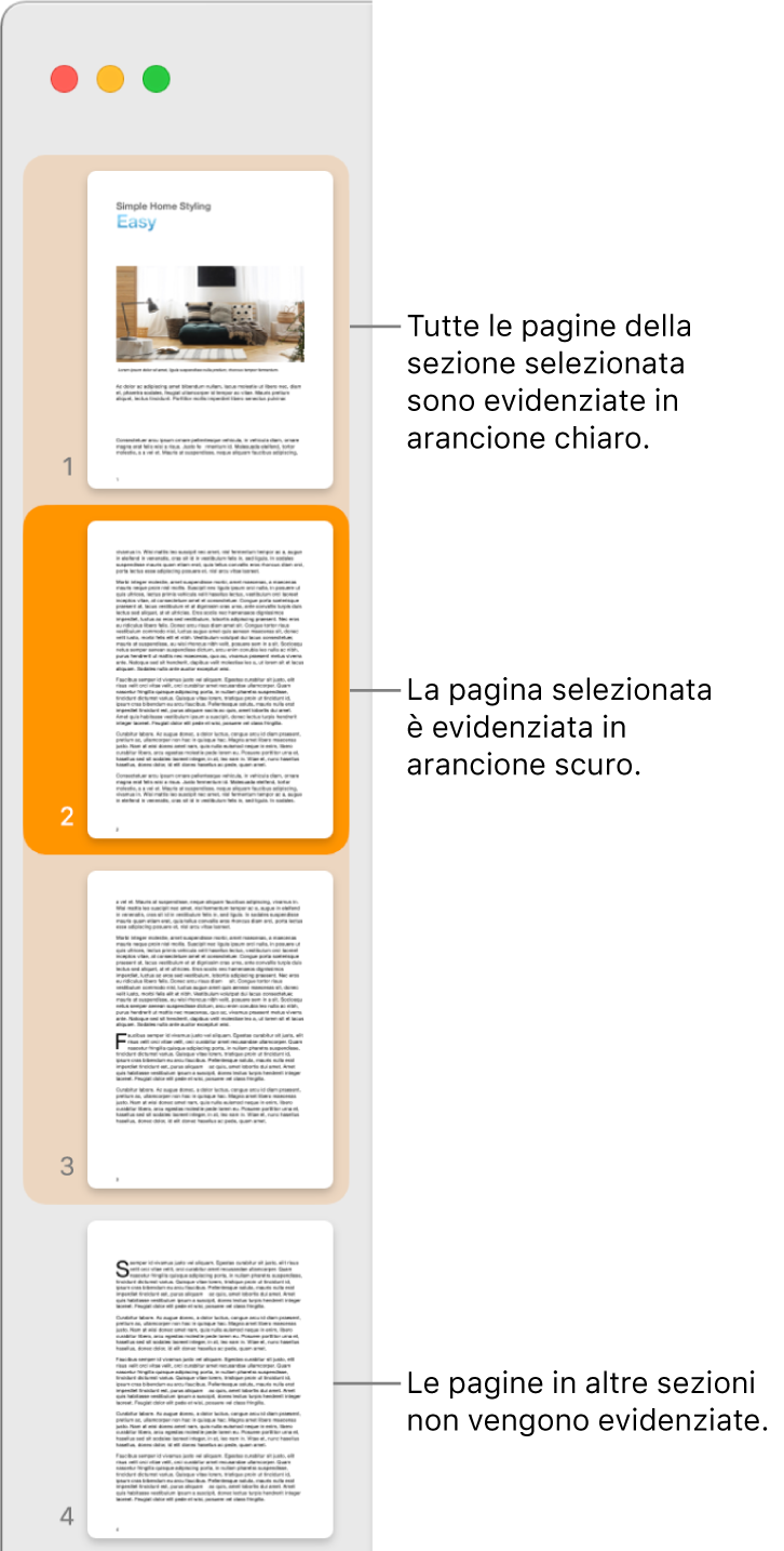 Barra laterale della vista miniature con la pagina selezionata evidenziata in arancione scuro e tutte le pagine della sezione selezionata sottolineate in arancione chiaro.