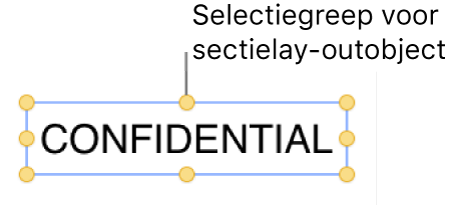 Een object met selectiegrepen.