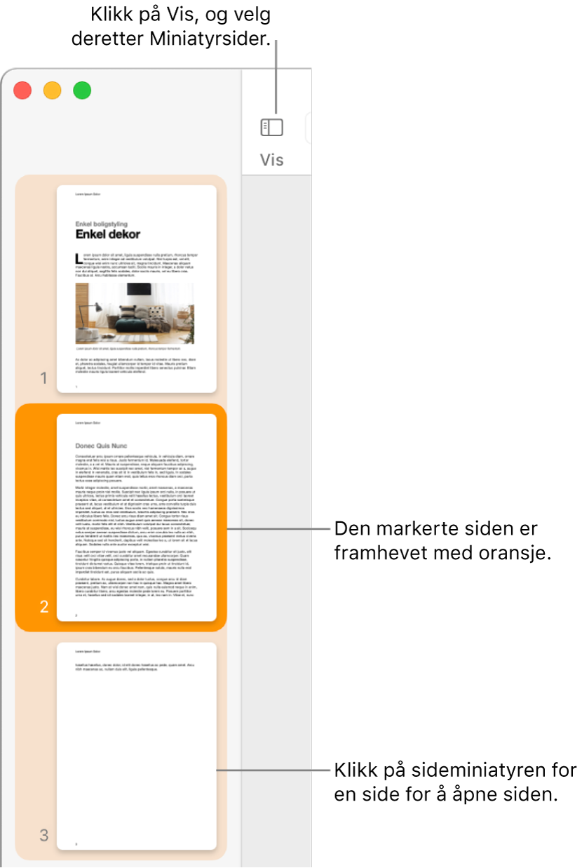 Sidepanelet til venstre for Pages-vinduet med sideminiatyrvisning åpent og en markert side uthevet i mørk oransje.