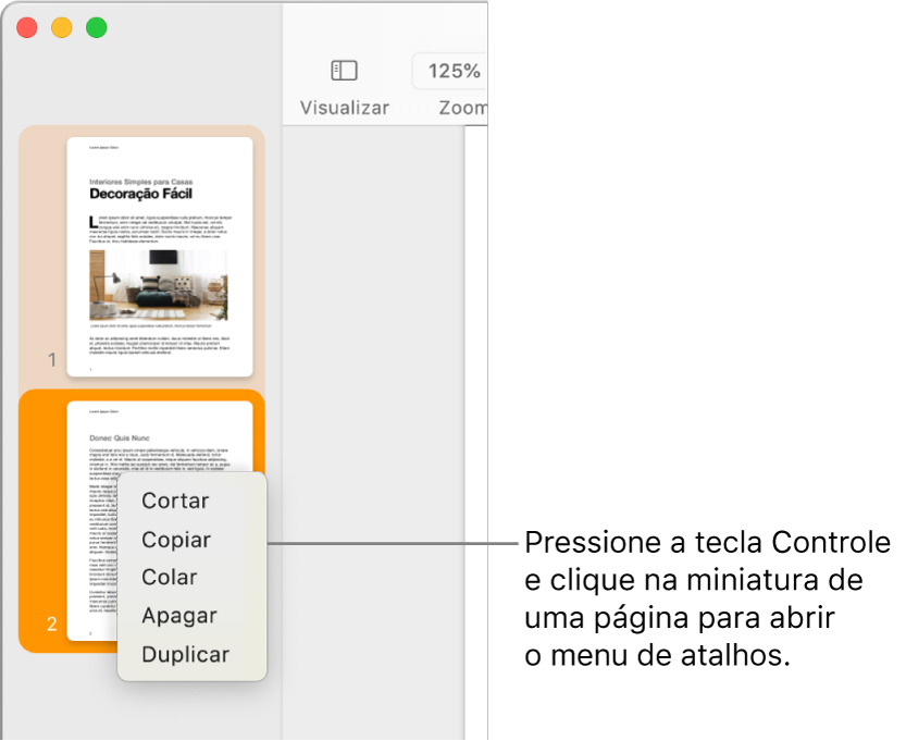 Visualização de Miniaturas de Página, com uma miniatura selecionada e o menu de atalho aberto.