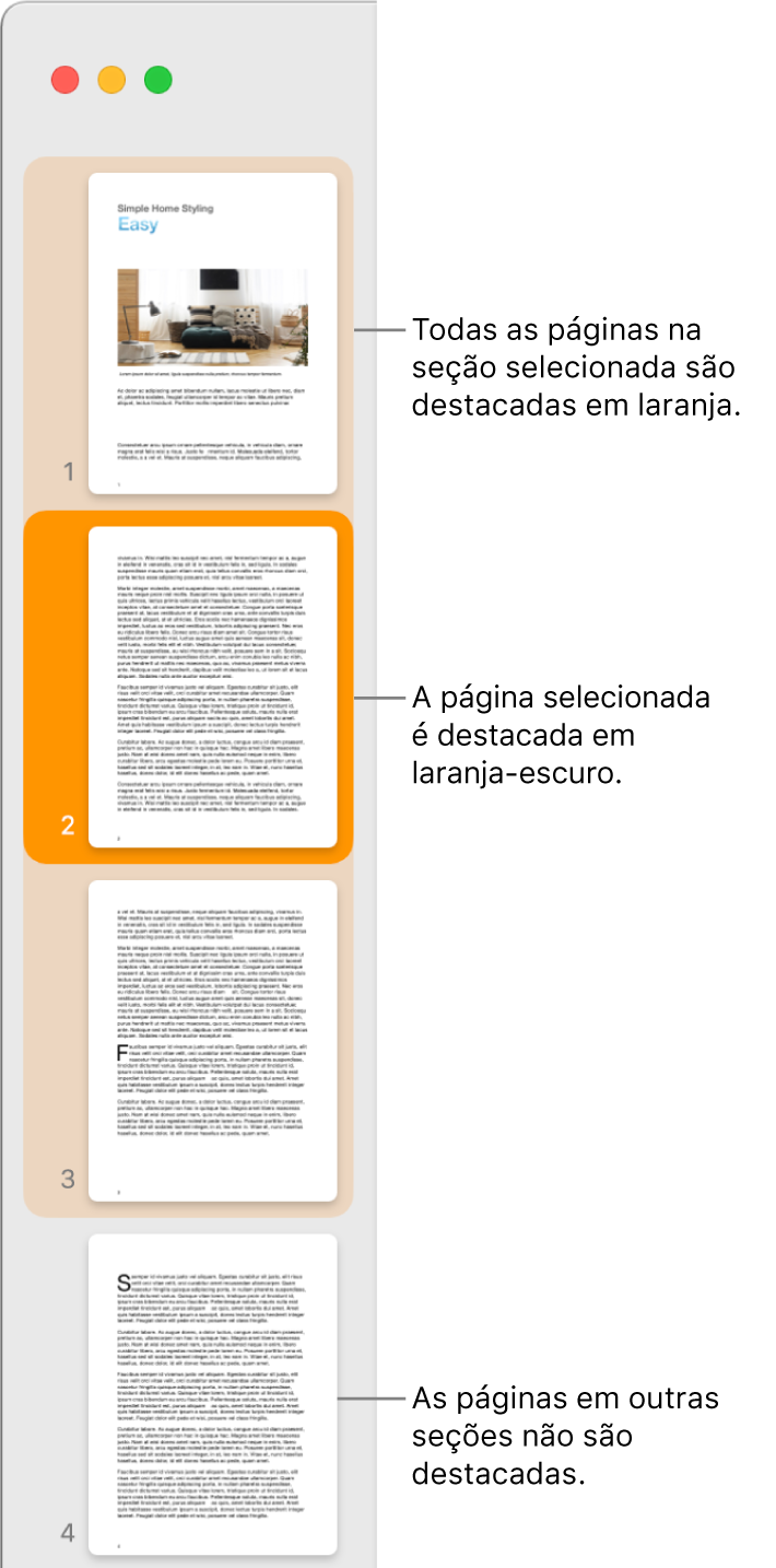 Barra lateral Visualização de Miniaturas, com a página selecionada destacada em laranja escuro e todas as páginas da seção selecionada destacadas em laranja claro.