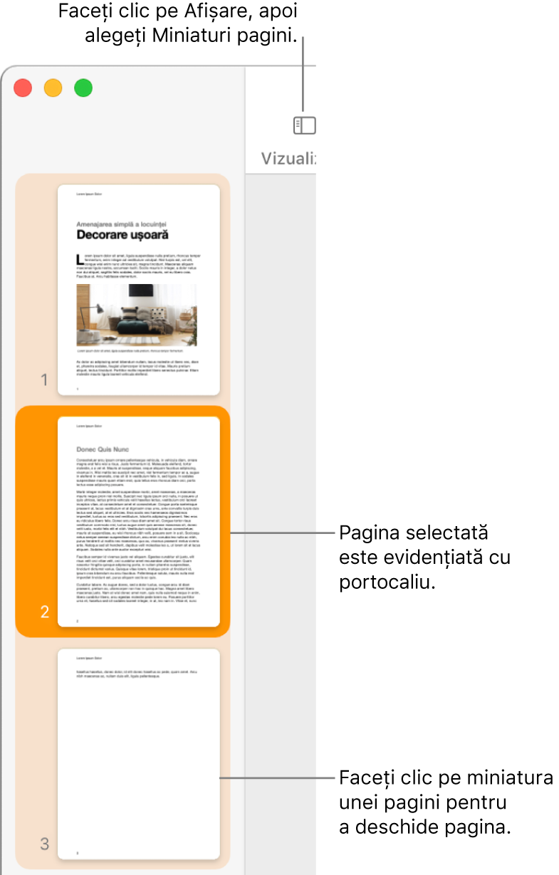 Bara laterală din partea stângă a ferestrei Pages, având deschisă vizualizarea Miniaturi pagini și o pagină selectată evidențiată cu portocaliu închis.