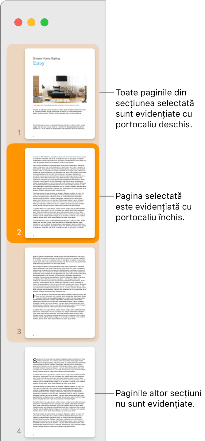 Bara laterală Vizualizare miniaturi, cu pagina selectată evidențiată cu portocaliu închis și toate paginile din secțiunea selectată evidențiate cu portocaliu deschis.